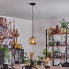 Koyoto Lámpara Colgante Cristal 20 cm dorado, Negro, 1 luz