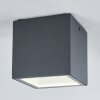 Spidern Lámpara de techo para exterior LED Antracita, Blanca, 1 luz