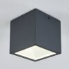 Spidern Lámpara de techo para exterior LED Antracita, Blanca, 1 luz
