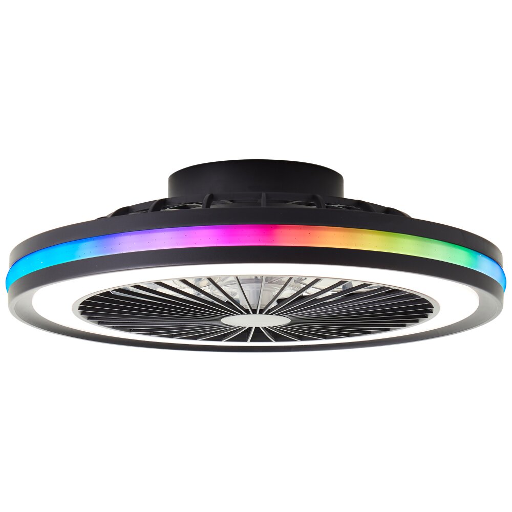 Brilliant Palmero Ventilador de techo Negro, 1 luz, Mando a distancia, Cambia de color main product photo