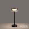 Leuchten-Direkt DORA Lámpara de mesa LED Negro, 1 luz