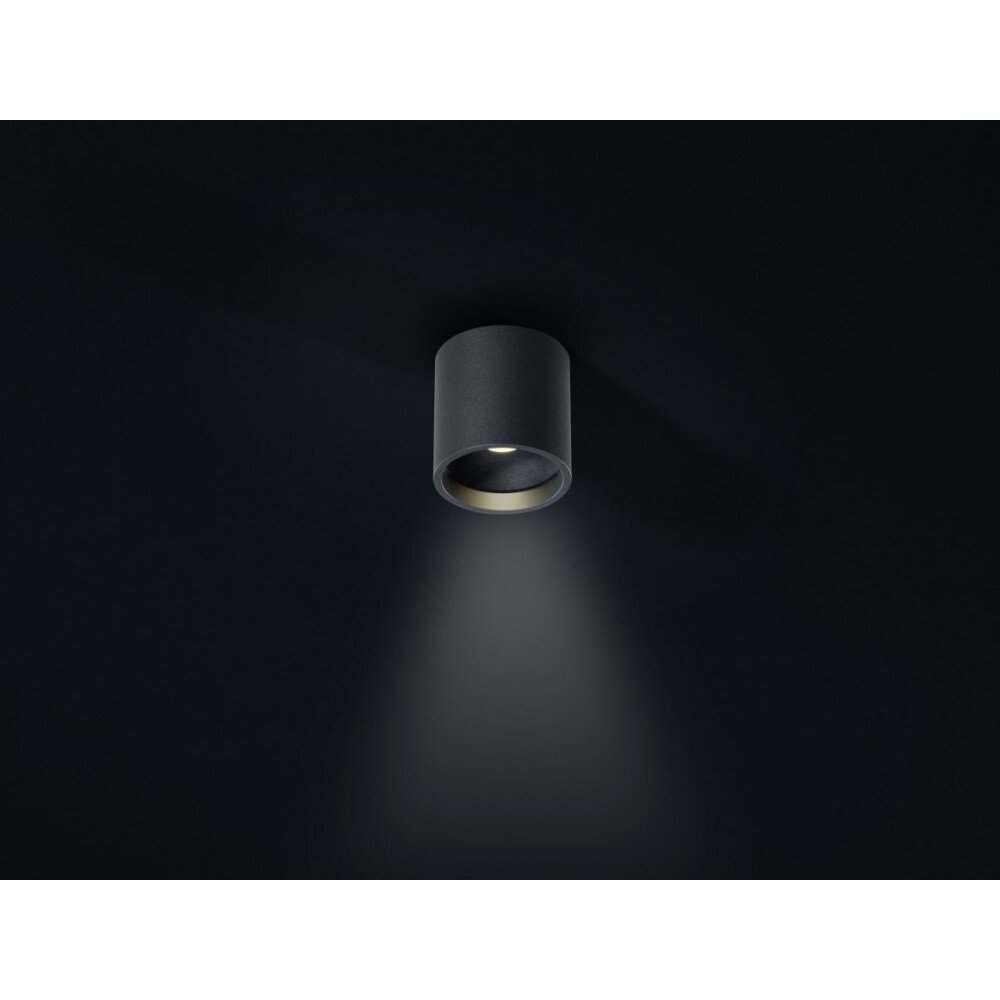 Helestra DORA 1 Lámpara de techo LED Negro, 1 luz main product photo