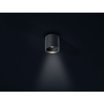 Helestra DORA 1 Lámpara de techo LED Negro, 1 luz