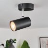 Javel Lámpara de Techo Negro, 1 luz