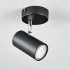 Javel Lámpara de Techo Negro, 1 luz