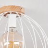 Pajalta Lámpara de Techo Crudo, 1 luz