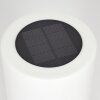 Pontaut Lámpara solare LED Blanca, 1 luz