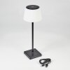 Longchamps Lámpara de mesa LED Negro, 1 luz