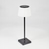 Longchamps Lámpara de mesa LED Negro, 1 luz