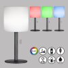 FHL easy Lesina Lámpara de mesa LED Antracita, 1 luz, Cambia de color