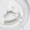 FHL easy Termoli Lámpara de mesa LED Blanca, 1 luz, Cambia de color