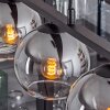 Koyoto Lámpara Colgante Cristal 15 cm Ahumado, 5 luces