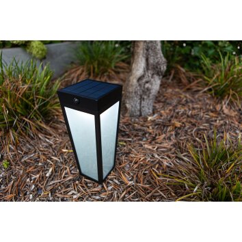 Lutec Dias Lámpara solare LED Negro, 1 luz, Sensor de movimiento, Cambia de color