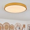 Broglen Lámpara de Techo LED Latón, 1 luz