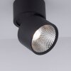Paul Neuhaus PURE-NOLA Aplique LED Negro, 1 luz