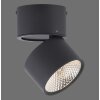 Paul Neuhaus PURE-NOLA Aplique LED Negro, 1 luz