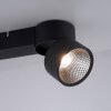 Paul Neuhaus PURE-NOLA Lámpara de Techo LED Negro, 2 luces