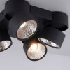 Paul Neuhaus PURE-NOLA Lámpara de Techo LED Negro, 4 luces