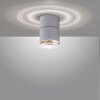 Paul Neuhaus PURE-NOLA Aplique LED Blanca, 1 luz