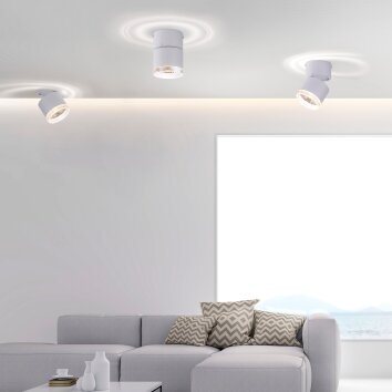 Paul Neuhaus PURE-NOLA Aplique LED Blanca, 1 luz