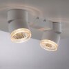 Paul Neuhaus PURE-NOLA Lámpara de Techo LED Blanca, 2 luces