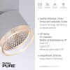 Paul Neuhaus PURE-NOLA Lámpara de Techo LED Blanca, 4 luces