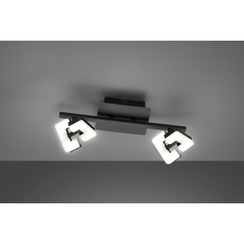 Fischer & Honsel Ray Lámpara de Techo LED Negro, 2 luces