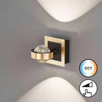Fischer & Honsel Cluedo Aplique LED dorado, 1 luz