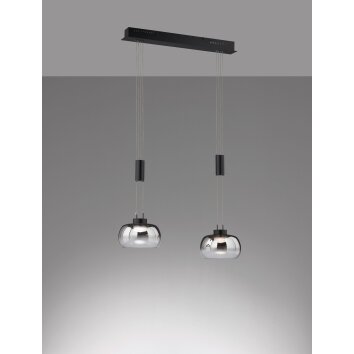 Fischer & Honsel Arosa Lámpara Colgante LED Negro, 2 luces