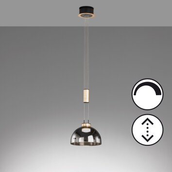 Fischer & Honsel Avignon Lámpara Colgante LED Negro, 1 luz
