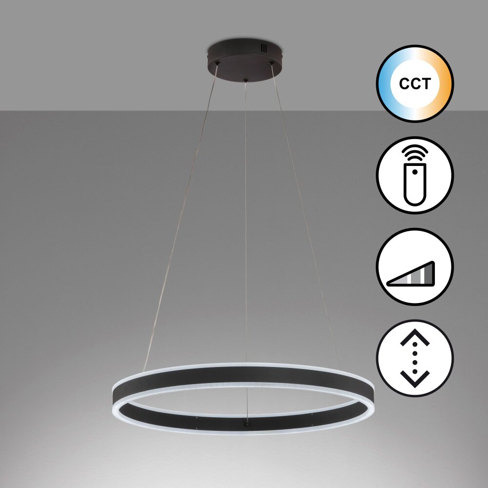 Fischer & Honsel Sirko Lámpara Colgante LED Negro, 1 luz, Mando a distancia main product photo