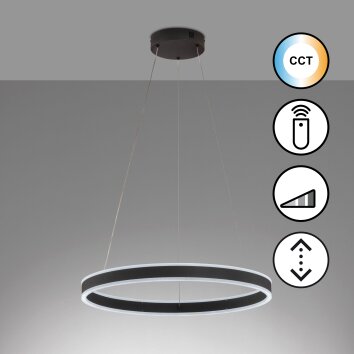 Fischer & Honsel Sirko Lámpara Colgante LED Negro, 1 luz, Mando a distancia