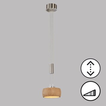 Fischer & Honsel SHINE-WOOD Lámpara Colgante LED Níquel-mate, 1 luz