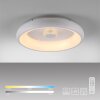 Leuchten-Direkt VERTIGO Lámpara de Techo LED Blanca, 1 luz, Mando a distancia