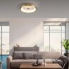 Leuchten-Direkt VERTIGO Lámpara de Techo LED dorado, 1 luz, Mando a distancia