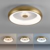 Leuchten-Direkt VERTIGO Lámpara de Techo LED dorado, 1 luz, Mando a distancia