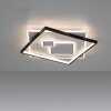Paul Neuhaus MAILAK Lámpara de Techo LED Negro, Blanca, 2 luces