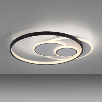 Paul Neuhaus MAILAK Lámpara de Techo LED Negro, Blanca, 2 luces