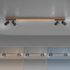 Paul Neuhaus PURE-LINES Lámpara de Techo LED Antracita, Madera oscura, 5 luces, Mando a distancia