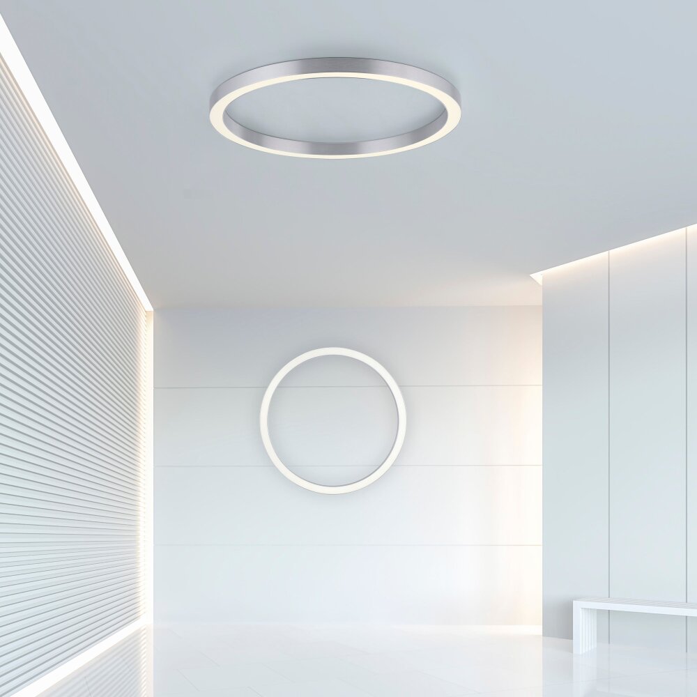 Paul Neuhaus PURE-LINES Lámpara de Techo LED Plata, 1 luz, Mando a distancia main product photo