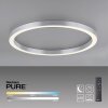 Paul Neuhaus PURE-LINES Lámpara de Techo LED Plata, 1 luz, Mando a distancia