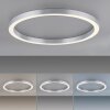 Paul Neuhaus PURE-LINES Lámpara de Techo LED Plata, 1 luz, Mando a distancia