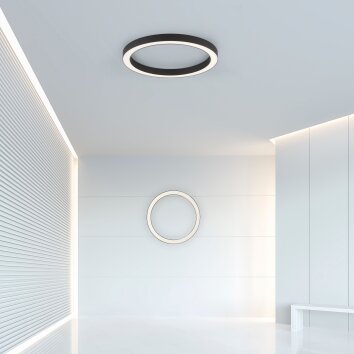 Paul Neuhaus PURE-LINES Lámpara de Techo LED Antracita, 1 luz, Mando a distancia