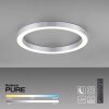 Paul Neuhaus PURE-LINES Lámpara de Techo LED Plata, 1 luz, Mando a distancia