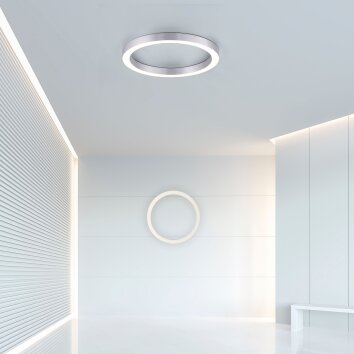Paul Neuhaus PURE-LINES Lámpara de Techo LED Plata, 1 luz, Mando a distancia