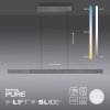 Paul Neuhaus PURE-MOTO-RISE Lámpara Colgante LED Gris, 3 luces, Mando a distancia