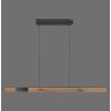 Paul Neuhaus PURE-MOTO-RISE Lámpara Colgante LED Color madera, Negro, 3 luces, Mando a distancia