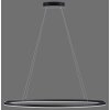 Paul Neuhaus TITUS Lámpara Colgante LED Antracita, 1 luz