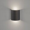 Fischer & Honsel Halv Aplique LED Negro, 2 luces