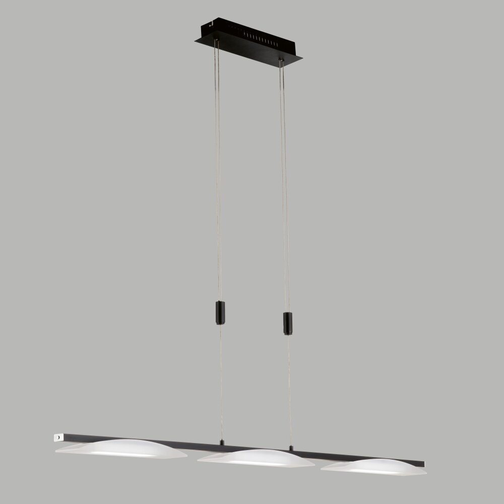 Fischer & Honsel Kop Lámpara Colgante LED Negro, 3 luces main product photo